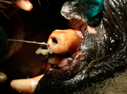 Image caption goes here or leave blank