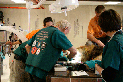 Image caption goes here or leave blank