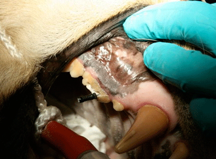 Image caption goes here or leave blank