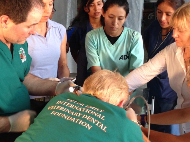 Dr.s Emily and Hall with Susanne Pilla and ADI's Jan Creamer assisting.