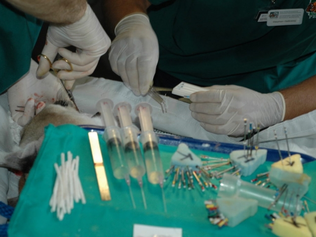 Tools of the trade, Alex under treatment.