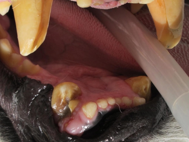 TCWR25AUG12-Tye-All-Fx