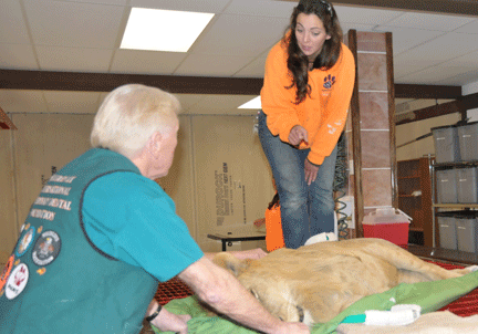 Image caption goes here or leave blank