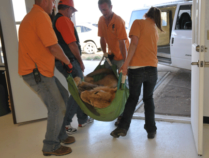 Image caption goes here or leave blank