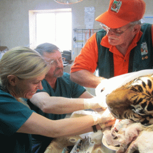 At Care Rescue TX Dr.s Kris Bannon and Clarence Sitzman