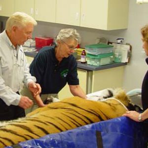 Dr. Peter Emily at Lake Superior Zoo