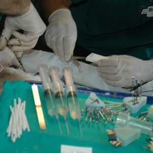 Tools of the trade, Alex being treated.