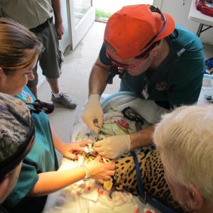 Dr. Barron Hall working on Magic.